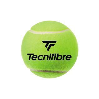 Set di 4 palline da tennis Tecnifibre Club Pet