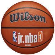Pallone Wilson NBA Authentic